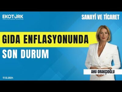 Mehmet Reis | Ahu Orakçıoğlu | Sanayi ve Ticaret