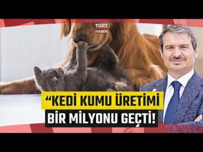 Celal Toprak İle İş Dünyası'nın Konuğu Turgay Ömür Oldu! - İş Dünyası