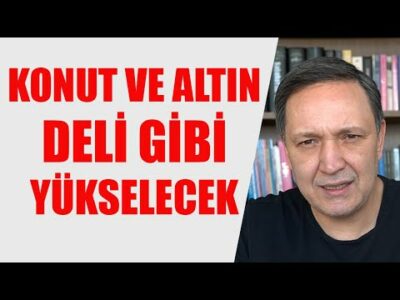 KONUT VE ALTIN DELİ GİBİ YÜKSELECEK