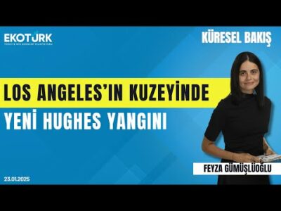 Küresel Bakış | Evren Çelik Wiltse | Feyza Gümüşlüoğlu