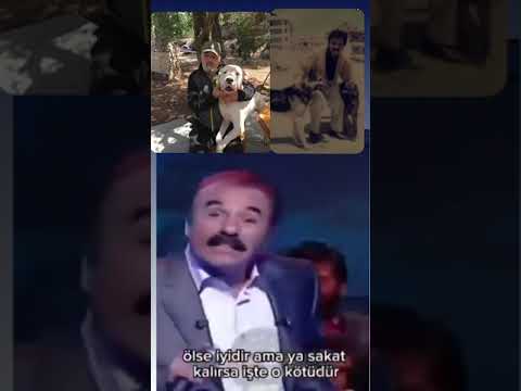 “Karıncayı dahi incitmeye korkarım..” Ferdi Tayfur'dan duygulandıran konuşma! | Aysu Mola