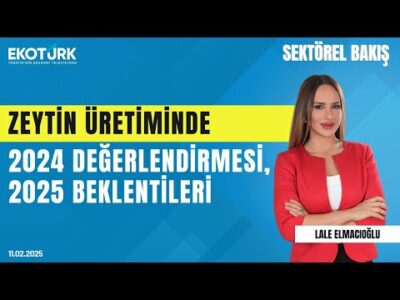 Zeytin üretiminde 2024 değerlendirmesi, 2025 beklentileri | Sektörel Bakış | Lale Elmacıoğlu