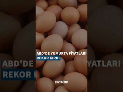 ABD'de yumurta fiyatları rekor kırdı!