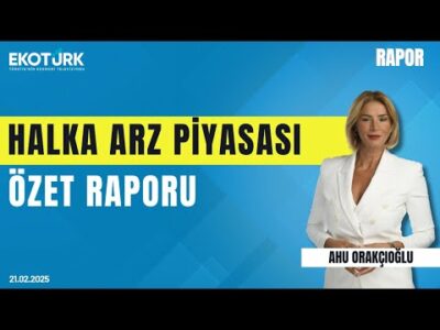 Halka arz piyasası özet raporu | Rapor | Ahu Orakçıoğlu