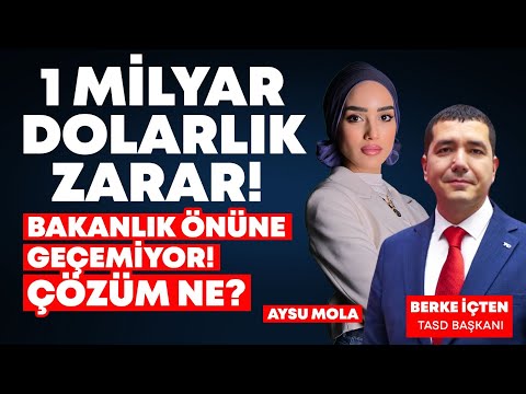 Bu Gençler Nasıl İş Bulacak? Ben Nasıl Para Kazanacağım? Berke İçten