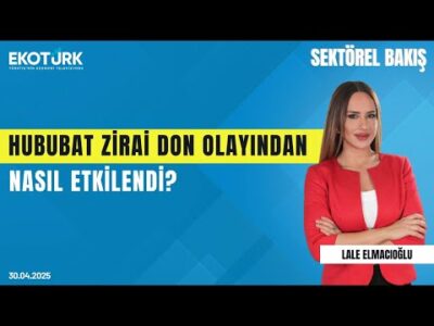 Hububat Zirai Don Olayından Nasıl Etkilendi? | Sektörel Bakış | Lale Elmacıoğlu | Gürsel Erbap