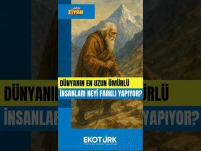 AKLA ZİYAN | ''İstanbul'un en çılgın projesi kentsel dönüşüm olmalı''