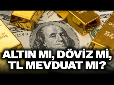 Altın mı, Döviz mi, TL Mevduat mı? Yatırımcı Hangisine Yönelmeli? Uzman İsim Anlattı