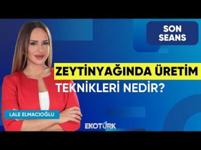 Zeytinyağında Üretim Teknikleri Nedir? | Son Seans | Mustafa Kürlek | Serkan Koç | Lale Elmacıoğlu