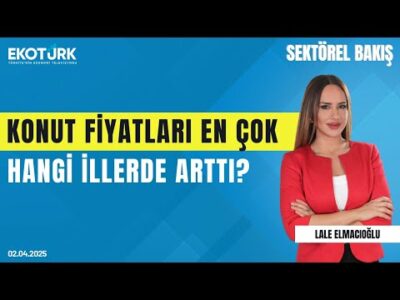 Türkiye'de Teknoloji Sektörünün Gelişimi | Sektörel Bakış | Lale Elmacıoğlu | Emre Hantaloğlu