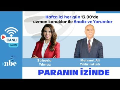 Paranın İzinde | Mehmet Ali Yıldırımtürk