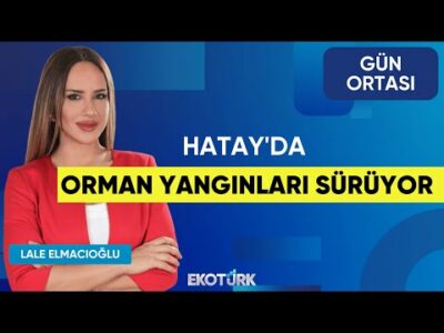 Hatay'da Orman Yangınları Sürüyor | Levent Eraslan | Gün Ortası | Lale Elmacıoğlu