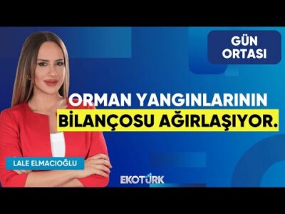 Orman Yangınlarının Bilançosu Ağırlaşıyor | Hüsrev Ahmet Özkara | Lale Elmacıoğlu | Gün Ortası