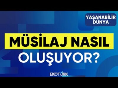 Müsilaj Nasıl Oluşuyor? | Yaşanabilir Dünya | Prof. Dr. Mustafa Sarı | Sibel Topaloğlu