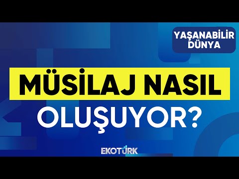 Müsilaj Nasıl Oluşuyor? | Yaşanabilir Dünya | Prof. Dr. Mustafa Sarı | Sibel Topaloğlu