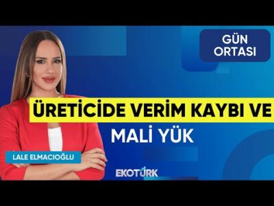 Üreticide Verim Kaybı ve Mali Yük | Sinem Özkan | Lale Elmacıoğlu | Gün Ortası