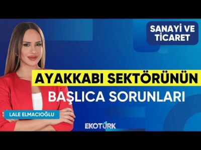 Ayakkabı Sektörünün Başlıca Sorunları | Sait Salıcı | Sanayi ve Ticaret