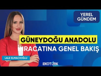 Güneydoğu Anadolu İhracatına Genel Bakış | Fikret Kileci | Lale Elmacıoğlu | Yerel Gündem