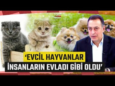 PETZOO Eurasia 2025 İçin Geri Sayım! Evcil Hayvan Dünyasının Kalbi Bu Fuarda Atacak - İş Dünyası