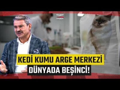 Kedi Kumu İhracatında Yeni Hedefler! 'Türkiye 300 Milyon Dolar İhracat Yapıyor' - İş Dünyası