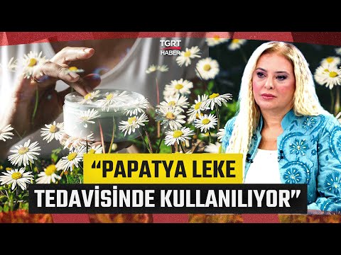 Bitkisel Ürünler ve Kozmetik Sektörü! "Tüketici Doğal İçerikli Ürünler Tercih Ediyor" - İş Dünyası