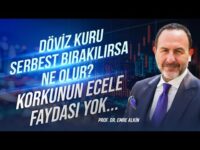 Döviz Kuru Serbest Bırakılırsa Ne Olur? Korkunun Ecele Faydası Yok | Emre Alkin