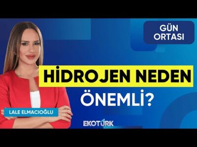 Hidrojen Neden Önemli? | Kerim Güceylioğlu | Lale Elmacıoğlu | Gün Ortası