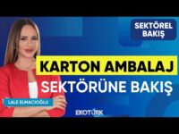 Karton Ambalaj Sektörüne Bakış | Alican Duran | Lale Elmacıoğlu | Sektörel Bakış
