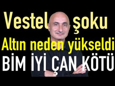 Altın-gümüş neden yükseldi | Vestel şoku | BİM+Katılım iyi, Çan Termik kötü