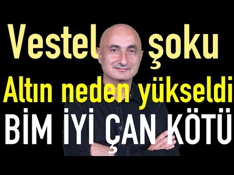 Altın-gümüş neden yükseldi | Vestel şoku | BİM+Katılım iyi, Çan Termik kötü