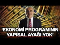 Eski TCMB Başkan Yardımcısı Özatay'dan Enflasyon Yorumu: 'Sadece Para Politikasıyla Çözülemez'