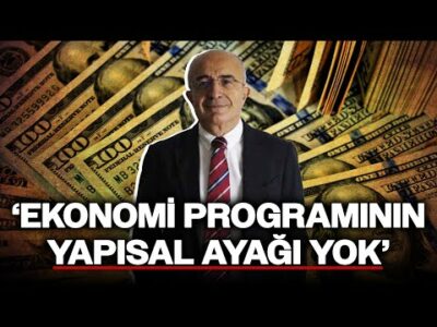 Eski TCMB Başkan Yardımcısı Özatay'dan Enflasyon Yorumu: 'Sadece Para Politikasıyla Çözülemez'