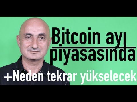 Bitcoin ayı piyasasında | Neden tekrar yükselecek?