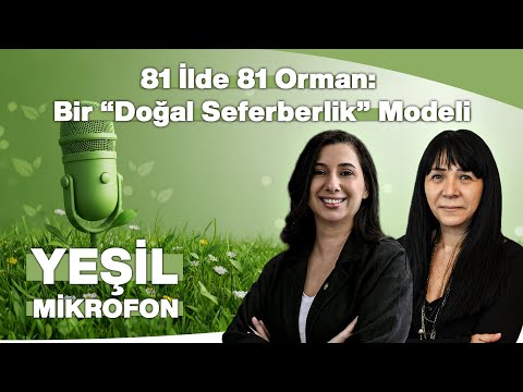 81 İlde 81 Orman: Bir “Doğal Seferberlik” Modeli | Yeşil Mikrofon