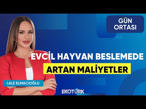 Evcil Hayvan Beslemede Artan Maliyetler | Turgay Ömür | Lale Elmacıoğlu | Gün Ortası