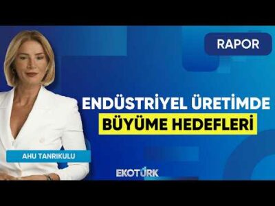 Endüstriyel Üretimde Büyüme Hedefleri | Rapor | Ahu Tanrıkulu |