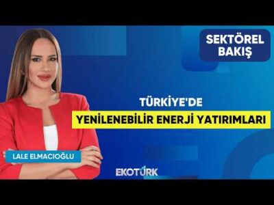 Türkiye'de Yenilenebilir Enerji Yatırımları | Ebru Arıcı | Lale Elmacıoğlu | Sektörel Bakış