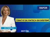 Türkiye'de Fintech Ekosistemi | Rapor | Ahu Tanrıkulu | Murat Alsan | Sinem Cantürk