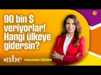 İrlanda, Japonya, İsviçre... “Yaşarım” Diyene 90.000 Dolara Kadar Veriyorlar!