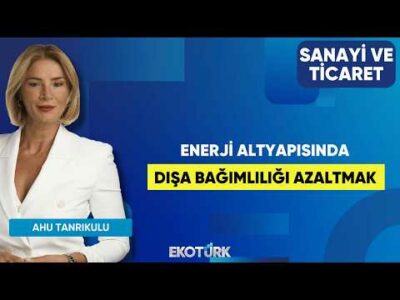 Enerji Altyapısında Dışa Bağımlılığı Azaltmak | Ahu Tanrıkulu | Sanayi ve Ticaret