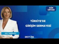 Türkiye'de Girişim Sermayesi | Gün Ortası