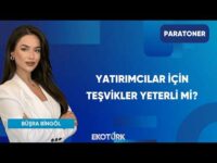 Yatırımcılar İçin Teşvikler Yeterli Mi? | Paratoner