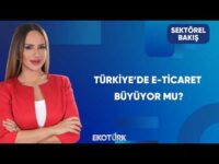 Türkiye’de E-Ticaret Rakamları Ne Söylüyor? | Sektörel Bakış