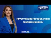 Ekonomi Yönetiminin Adımları Yeterli mi? | Araştırma Masası