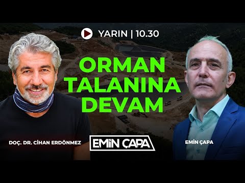 #CANLI ORMAN TALANINA DEVAM
