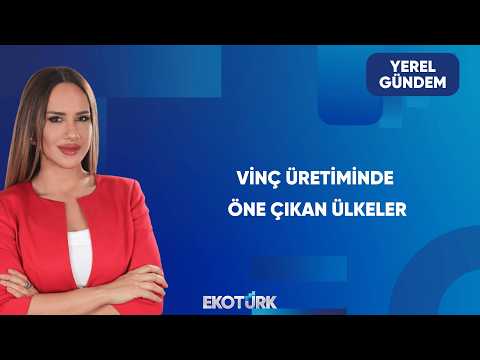 Vinç Üretiminde Çin'in Rekabetçiliği | Yerel Gündem