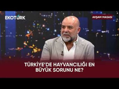 Hayvancılıkta Yaşanan Sorunlar Neler? | Akşam Masası