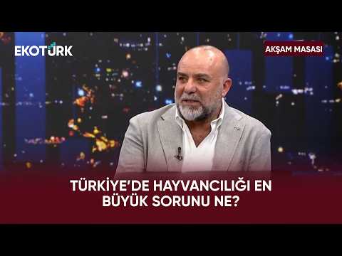 Hayvancılıkta Yaşanan Sorunlar Neler? | Akşam Masası