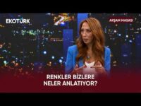 Renler Bizlere Neler Anlatıyor? | Akşam Masası