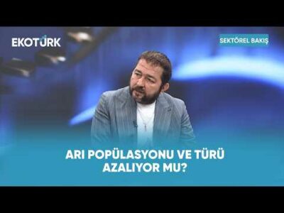 İklim Krizinin Arıcılık Sektörüne Etkisi | Sektörel Bakış